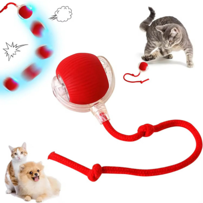 Pet Smart Ball Toy – Interactive Fun for Your Furry Friend